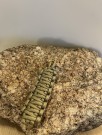 Beige og camo thumbnail